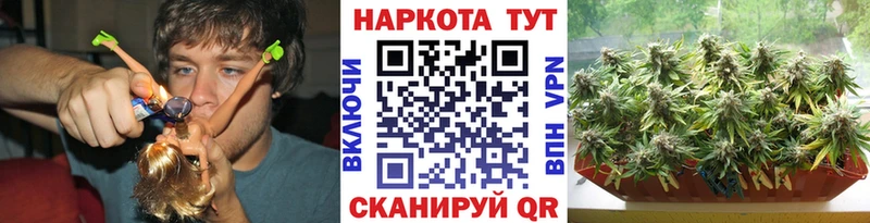 Купить наркотики сайты Пушкино Гашиш  Cocaine  Меф мяу мяу  Канабис 