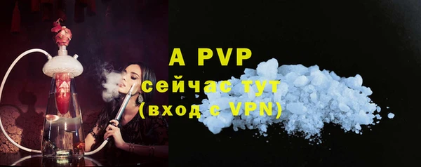 твердый Шали
