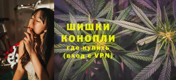 твердый Шали