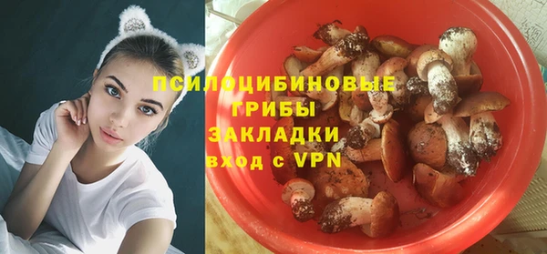 PSILOCYBIN Шарыпово
