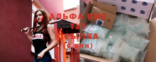 твердый Шали