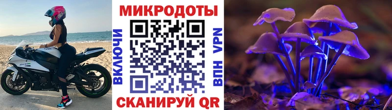 где купить   darknet как зайти  Галлюциногенные грибы MAGIC MUSHROOMS  Пушкино 