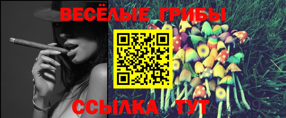 Псилоцибиновые грибы мухоморы  Вход с VPN  как найти закладки  Пушкино 
